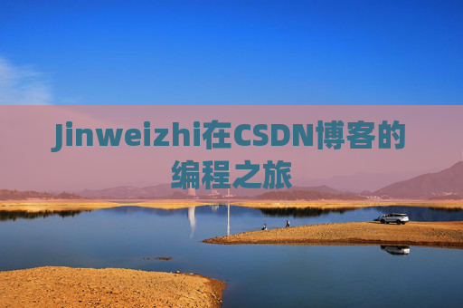 Jinweizhi在CSDN博客的编程之旅